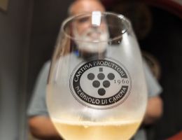 Immagine 2 di NEBBIOLO BRUT ROSE' D.O.C. LUNANEUVA CANTINA PRODUTTORI NEBBIOLO DI CAREMA