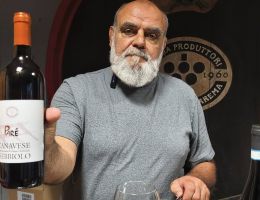 Immagine 1 di CANAVESE NEBBIOLO D.O.C. PARE' CANTINA PRODUTTORI NEBBIOLO DI CAREMA 1960