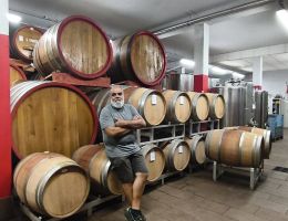 Immagine 2 di CANAVESE NEBBIOLO D.O.C. PARE' CANTINA PRODUTTORI NEBBIOLO DI CAREMA 1960