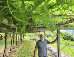 Immagine 3 di CAREMA D.O.C. RISERVA CANTINA DEI PRODUTTORI NEBBIOLO DI CAREMA