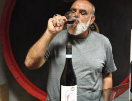 Immagine 5 di CAREMA D.O.C. RISERVA CANTINA DEI PRODUTTORI NEBBIOLO DI CAREMA