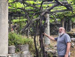 Immagine 4 di CAREMA D.O.C. SELEZIONE 2020 CANTINA PRODUTTORI NEBBIOLO DI CAREMA 1960