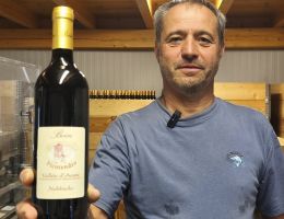 Immagine 1 di VALLE'E D'AOSTE PICOTENDRO D.O.P. BONIN DINO VINI DI ARNAD