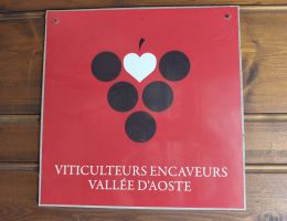 Immagine 4 di VALLE'E D'AOSTE PICOTENDRO D.O.P. BONIN DINO VINI DI ARNAD