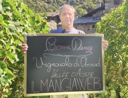 Immagine 5 di VALLE'E D'AOSTE PICOTENDRO D.O.P. BONIN DINO VINI DI ARNAD