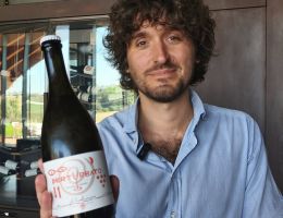 Immagine 1 di MARCHE BIANCO FRIZZANTE I.G.T. PERTURBATO FILODIVINO VINI DI SAN MARCELLO DI ANCONA