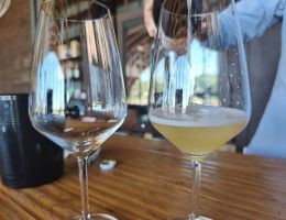 Immagine 4 di MARCHE BIANCO FRIZZANTE I.G.T. PERTURBATO FILODIVINO VINI DI SAN MARCELLO DI ANCONA