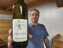 Immagine 5 di VALLE'E D'AOSTE PETITE ARVINE D.O.P. BONIN DINO VINI DI ARNAD