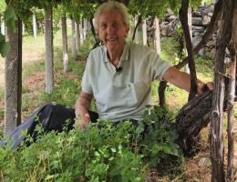 Immagine 4 di VALLÈE D'AOSTE D.O.P. BLANC DE MORGEX ET DE LA SALLE PIERO BRUNET VINI MORGEX