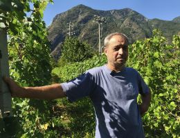 Immagine 3 di VALLE'E D'AOSTE PETITE ARVINE VENDANGE TARDIVE D.O.P. CARPE DIEM BONIN DINO VINI DI ARNAD