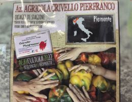 Immagine 5 di MELANZANA BIANCA DI CARMAGNOLA  PIERFRANCO CRIVELLO DI CARMAGNOLA