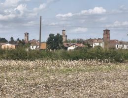 Immagine 5 di RISO CARNAROLI CLASSICO SEMI-LAVORATO SOC. AGR. MASSINO DI SARTIRANA LOMELLINA