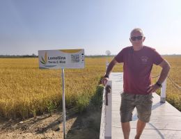 Immagine 4 di RISO ARBORIO CASCINA ALBERONA MORTARA LOMELLINA