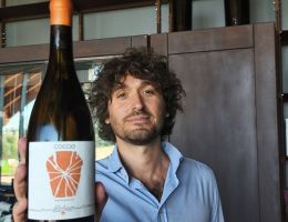 Immagine 1 di MARCHE BIANCO I.G.T.  COCCIO VERDICCHIO IN ANFORA FILODIVINO VINI DI SAN MARCELLO DI ANCONA