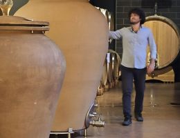 Immagine 3 di MARCHE BIANCO I.G.T.  COCCIO VERDICCHIO IN ANFORA FILODIVINO VINI DI SAN MARCELLO DI ANCONA