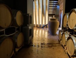 Immagine 4 di MARCHE BIANCO I.G.T.  COCCIO VERDICCHIO IN ANFORA FILODIVINO VINI DI SAN MARCELLO DI ANCONA