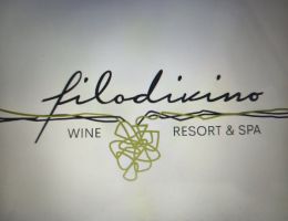 Immagine 5 di MARCHE BIANCO I.G.T.  COCCIO VERDICCHIO IN ANFORA FILODIVINO VINI DI SAN MARCELLO DI ANCONA