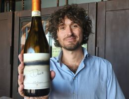 Immagine 1 di VERDICCHIO DEI CASTELLI DI JESI  D.O.C.G. CL.RISERVA  DINO FILODIVINO VINI DI SAN MARCELLO DI ANCONA