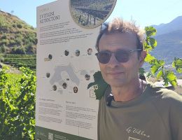 Immagine 5 di VALLE'E D'AOSTE DOC CORNALIN LA VRILLE DI HERVE'