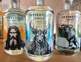 Immagine 4 di LONDON DRY GIN GINGIAT LINEA MY TERROIR ANTICA DISTILLERIA INVITTI 1948