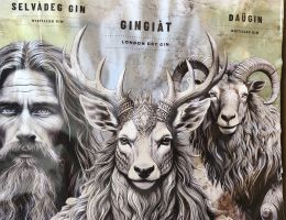 Immagine 5 di LONDON DRY GIN GINGIAT LINEA MY TERROIR ANTICA DISTILLERIA INVITTI 1948
