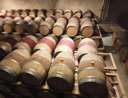 Immagine 5 di HARLEQUIN I.G.P. VENETO ROSSO CANTINA ZÝMĒ