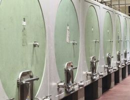 Immagine 3 di AMARONE CLASSICO DELLA VALPOLICELLA D.O.C.G. CANTINA ZÝMĒ
