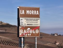 Immagine 2 di CHARDONNAY LANGHE D.O.C. REBLANC CANTINA MOSCONE LA MORRA