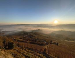Immagine 3 di BAROLO 1877 D.O.C.G. VIGNETO ZONA BUSSIA CANTINA MOSCONE LA MORRA