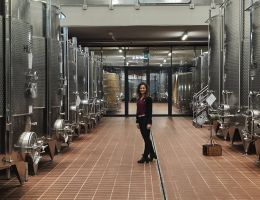 Immagine 3 di BARBERA D'ALBA D.O.C. SUPERIORE COMUNE DI MONFORTE D'ALBA CANTINA MOSCONE