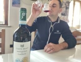 Immagine 3 di VALPOLICELLA CLASSICO D.O.C. BIO CANTINA CORTE BRAVI