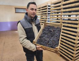 Immagine 3 di AMARONE DELLA VALPOLICELLA CLASSICO D.O.C.G. BIO CANTINA CORTE BRAVI