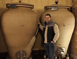 Immagine 5 di AMARONE DELLA VALPOLICELLA CLASSICO D.O.C.G. BIO CANTINA CORTE BRAVI