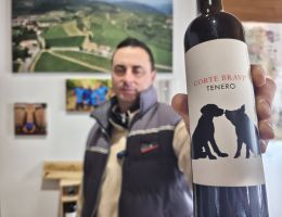 Immagine 1 di RECIOTO DELLA VALPOLICELLA CLASSICO D.O.C.G. BIO TENERO CORTE BRAVI