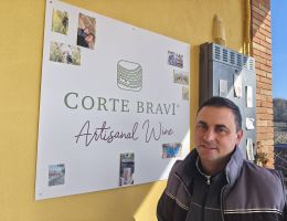 Immagine 2 di IGT VERONA ROSSO CORVINA BIO SCATTO CANTINA CORTE BRAVI