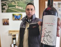 Immagine 1 di IGT VERONA ROSSO CORVINA BIO SCATTO CANTINA CORTE BRAVI