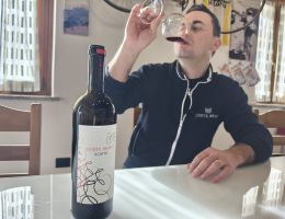 Immagine 3 di IGT VERONA ROSSO CORVINA BIO SCATTO CANTINA CORTE BRAVI