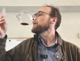 Immagine 4 di BARBERA D'ALBA  D.O.C. SERRA PAITIN CANTINA E VIGNA  IN NEIVE