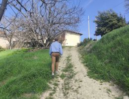 Immagine 5 di BARBERA D'ALBA  D.O.C. SERRA PAITIN CANTINA E VIGNA  IN NEIVE