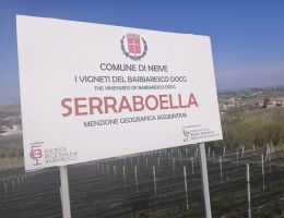 Immagine 4 di BARBARESCO SERRABOELLA  SORÌ PAITIN CANTINA  E VIGNA PAITIN IN NEIVE