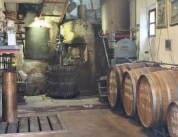 Immagine 3 di GRAPPA DI BAROLO DELLA DONNA SELVATICA DISTILLERIA ROMANO LEVI DI LUCIO SCARATTI