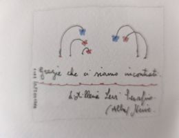 Immagine 2 di GRAPPA DONNA SELVATICA GRAZIE CHE CI SIAMO INCONTRATI DISTILLERIA ROMANO LEVI DI LUCIO SCARATTI