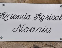 Immagine 4 di AMARONE DELLA VALPOLICELLA DOCG CLASSICO CORTE VAONA NOVAIA VINI IN MARANO DI VALPOLICELLA