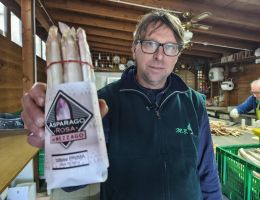 Immagine 1 di ASPARAGO ROSA DE.C.O DI MEZZAGO AGRICOLA RINO