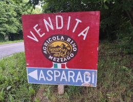 Immagine 5 di ASPARAGO ROSA DE.C.O DI MEZZAGO AGRICOLA RINO