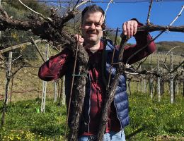 Immagine 3 di VALPOLICELLA DOC CLASSICO NOVAIA VINI IN MARANO DI VALPOLICELLA