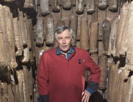 Immagine 2 di PANCETTA  ARROTOLATA DI SUINO NERO DI PARMA 28 MESI SALUMIFICIO AGRICOLO BIO SAN PAOLO MEDESANO