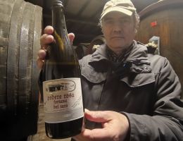 Immagine 1 di FORTANA DEL TARO I.G.T. PODERE ROSA BERGAMASCHI VINI DI SAMBOSETO DELLA BASSA PARMENSE