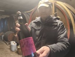 Immagine 1 di LAMBRUSCO DELL'EMILIA MAESTRI CENTENARIO GUARESCHI BERGAMASCHI VINI DI SAMBOSETO DELLA BASSA PARMENSE
