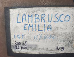 Immagine 3 di LAMBRUSCO DELL'EMILIA MAESTRI CENTENARIO GUARESCHI BERGAMASCHI VINI DI SAMBOSETO DELLA BASSA PARMENSE